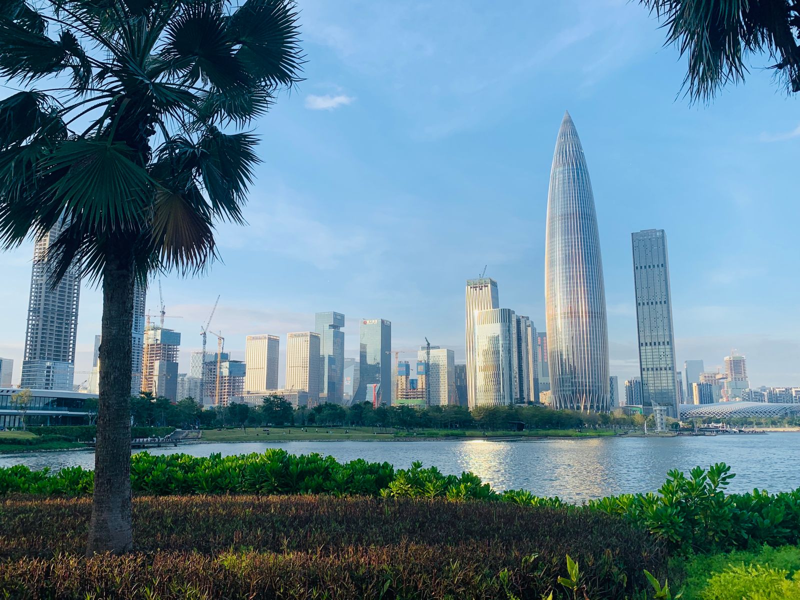 Shenzhen skyline beside green parkland and the waterfront